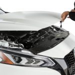 Hood, used, Nissan Altima with sliding roof